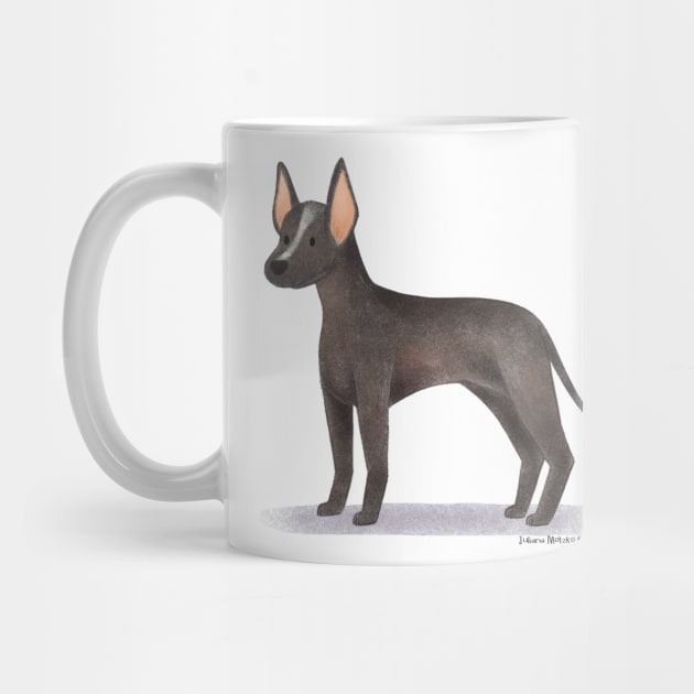 Xoloitzcuintle Dog by julianamotzko